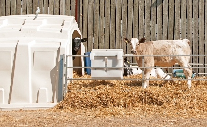 OnFarming  Gummimatten für Rinder: Das sind die Vorteile